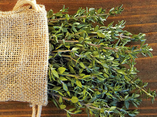 HERB FOCUS : Thyme